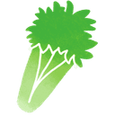 Céleri branche