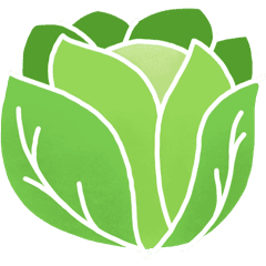 Chou vert
