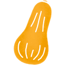 Courge butternut