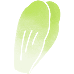 Endive
