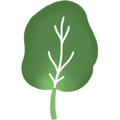 Épinard