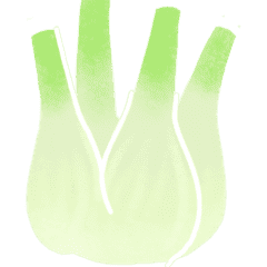 Fenouil