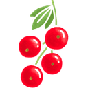 Groseille