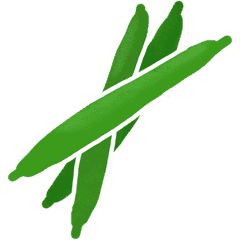 Haricots verts