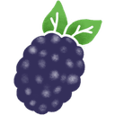 Mûre