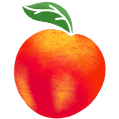 Pêche