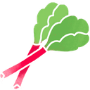 Rhubarbe