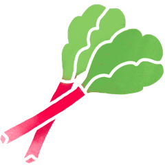 Rhubarbe