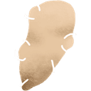 Topinambour