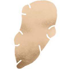Topinambour